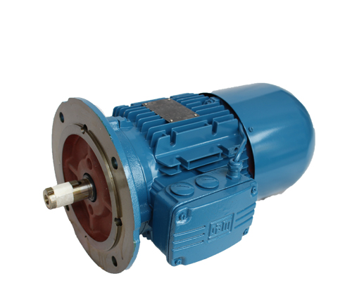 WEG制動電機(jī) WEG制動電機(jī)