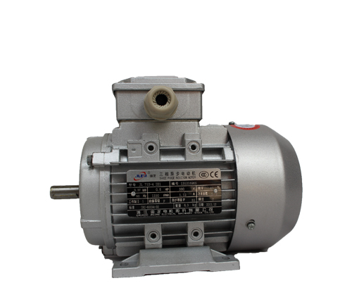 JL1.IE2鋁殼高效節(jié)能電機 JL1.IE2鋁殼高效節(jié)能電機