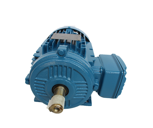 WEG增安型電機(jī) WEG增安型電機(jī)