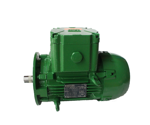 W22 防爆電機(jī)