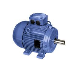 進口高效節(jié)能WEG電動機在國內(nèi)的發(fā)展