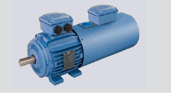 鑄鐵機(jī)座W21高效變頻電機(jī)有哪些特征?