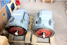 高效電機(jī)隨著國家補(bǔ)貼力度政策實(shí)施將呈現(xiàn)快速發(fā)展的趨勢