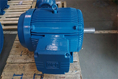 高效節(jié)能電機(jī)具備很多普通電機(jī)無法相媲美的特性