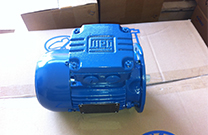 WEG電機(jī)榮獲巴西雜志《Ezame》“年度企業(yè)”