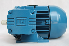 希望中國成為世界節(jié)能領域主力軍