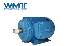 WEG中壓變頻器為ITT Goulds泵設備提供動力