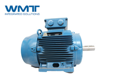WEG防爆電機(jī)在石油化工行業(yè)得到大力使用