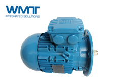 WEG高效電機有哪些功能可以供我們選擇