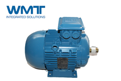 WEG電機-金屬鑄造行業(yè)的高效合作伙伴關系