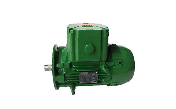 發(fā)達國家在永磁電機方面的研究與應(yīng)用