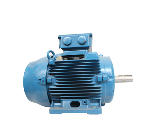 高壓電機的轉(zhuǎn)子銅條斷裂如何處理