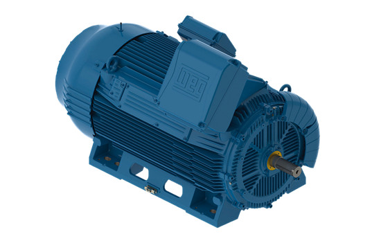 高壓電機(jī)的保護(hù)裝置怎么樣