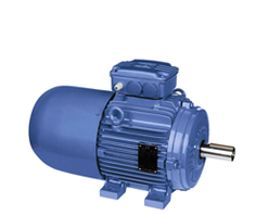 WEG電機(jī)在中國工廠主要生產(chǎn)有哪些系列？