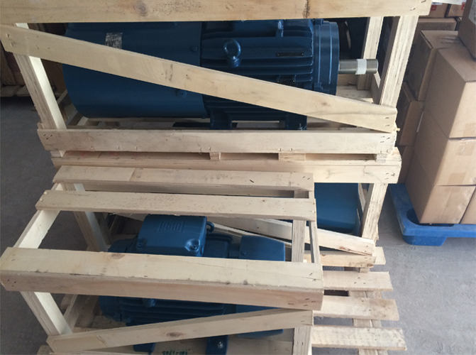 IE4超超高效節(jié)能電機