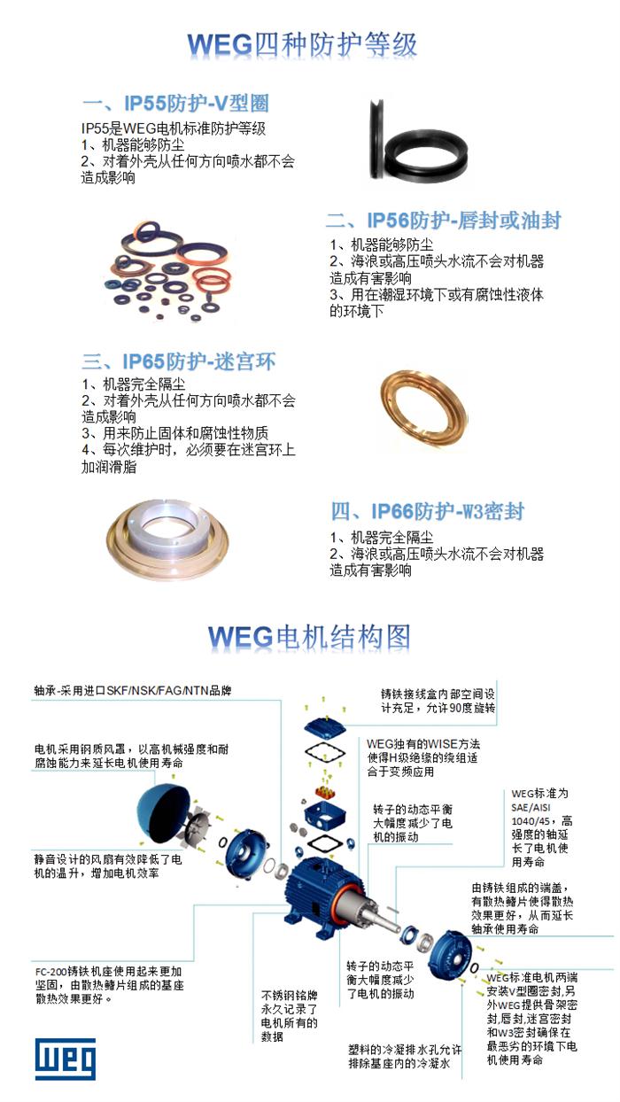 WEG多電壓電機(jī)防護(hù)等級和結(jié)構(gòu)圖