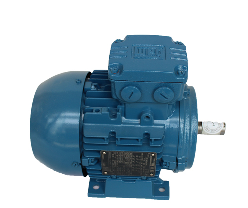 WEG電機(jī)保養(yǎng)